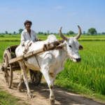 Rural